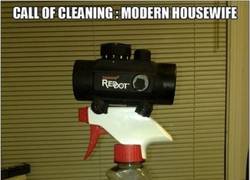 Enlace a Hay quién se toma la limpieza del hogar muy en serio