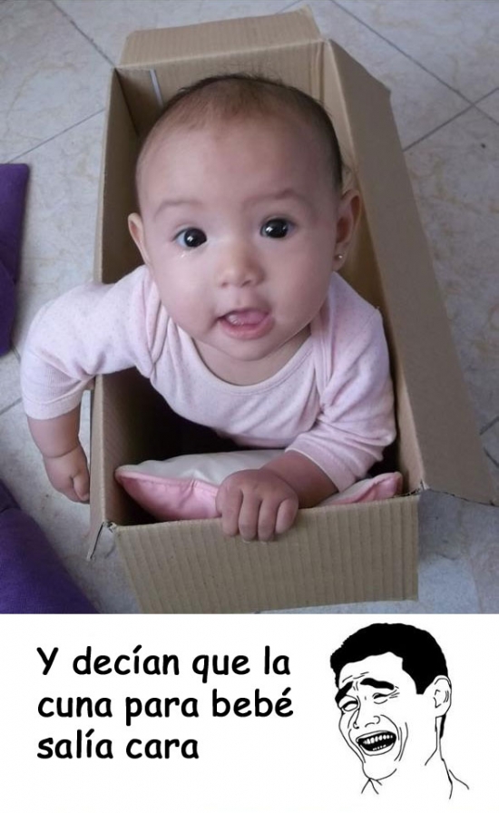 Bebé,caja de cartón,cuna,padre,papá,yao ming