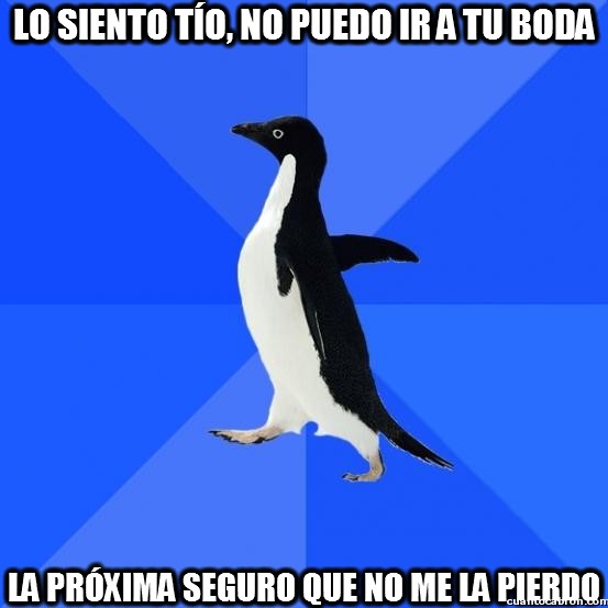 Awkward_penguin - El pingüino de las situaciones incómodas siempre sabe cómo quedar bien con sus amigos
