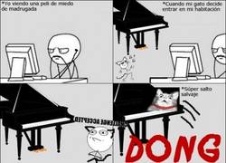Enlace a Tener un gato y un piano no es una buena combinación