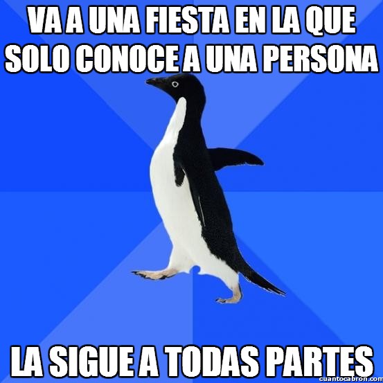 conocer,fiesta,seguir,socially awkward penguin,tímido,todas partes,una persona