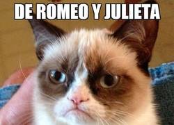 Enlace a Estaba claro que la parte del romance no iba a ser su preferida