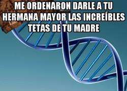 Enlace a Seria una pena que fueras más plana que una mesa