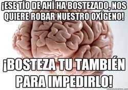 Enlace a ¡No nos robarás nuestro oxígeno!