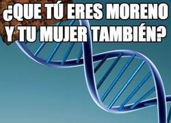 Enlace a ¿Que tú eres moreno y tu mujer también?