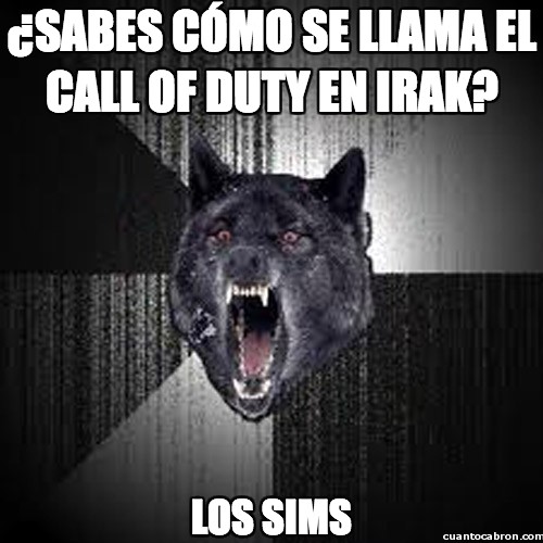 call of duty,irak,los sims