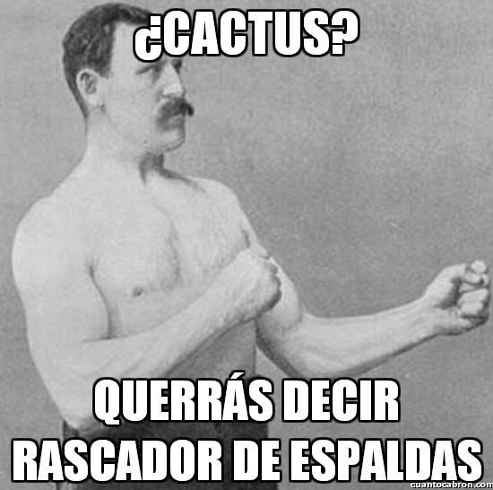 Overly_manly_man - ¿Cactus?