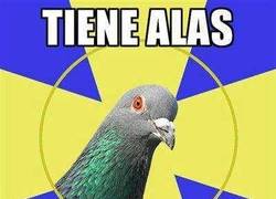 Enlace a Incomprensible lógica de las aves