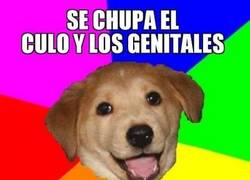 Enlace a Se chupa los genitales