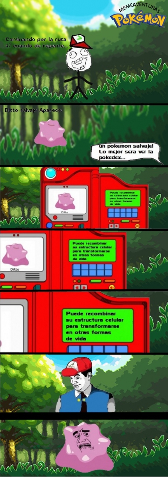 Yao - Memeaventuras Pokémon, episodio 1