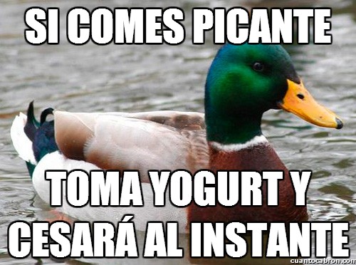 comes,instante,pato,Picante,tomar,yogurt