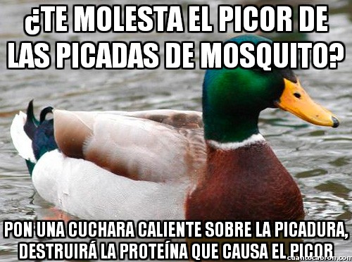 Pato_consejero - Ante las picadas de mosquito