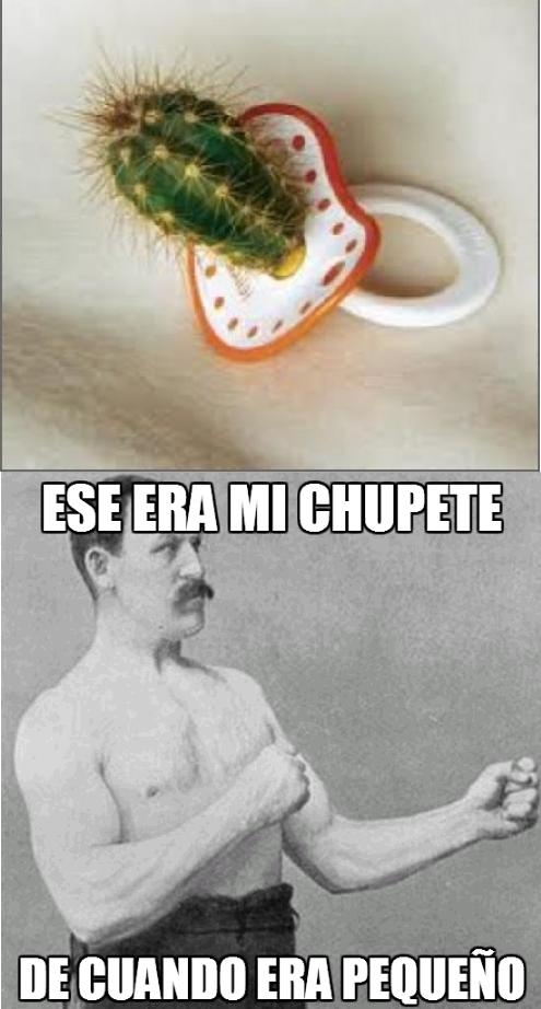 cactus,chupete,overly manly man,pequeño,pinchos