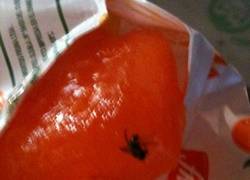 Enlace a Malditos helados, están por todas partes