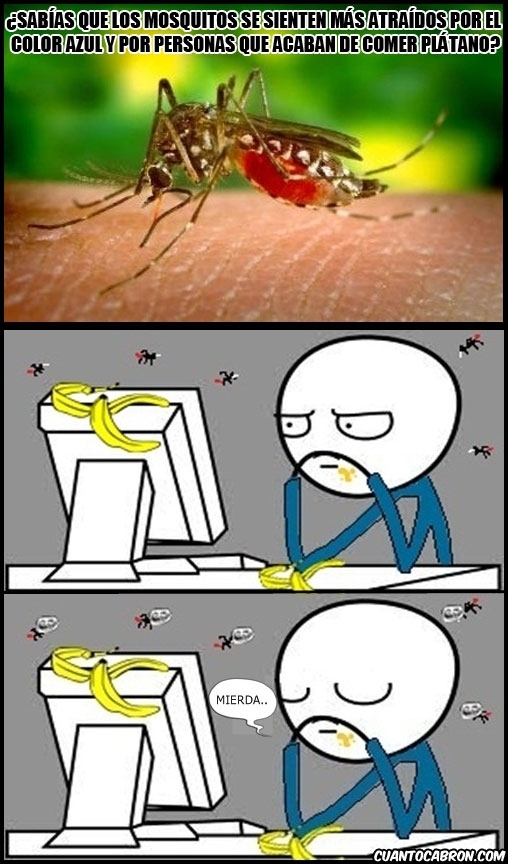 Computer_guy - Pequeñas curiosidades sobre los mosquitos