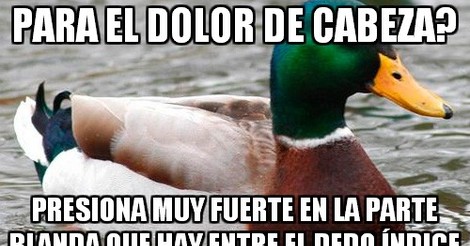 Memes 1 Tipos De Dolores De Cabeza Segun Mi Gfa Wattpad