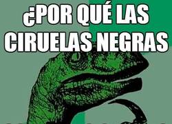 Enlace a Ciruelas multicolor