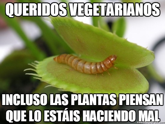 Meme_otros - Queridos vegetarianos