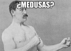 Enlace a ¿Medusas?