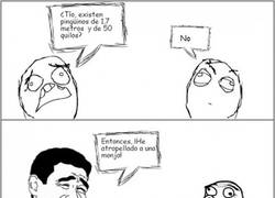 Enlace a ¿Pingüinos tan grandes?