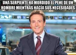 Enlace a Serpientes con algo de hambre