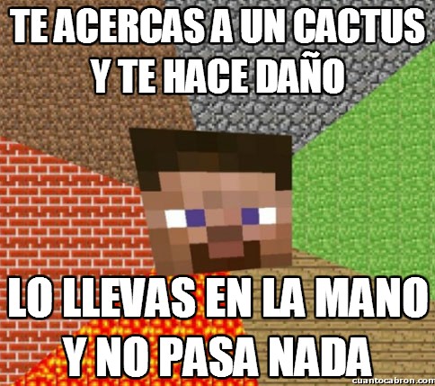 Minecraft - Te acercas a un cactus y te hace daño