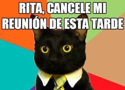Enlace a Tengo mucho por hacer