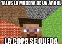 Enlace a Talas la madera de un árbol