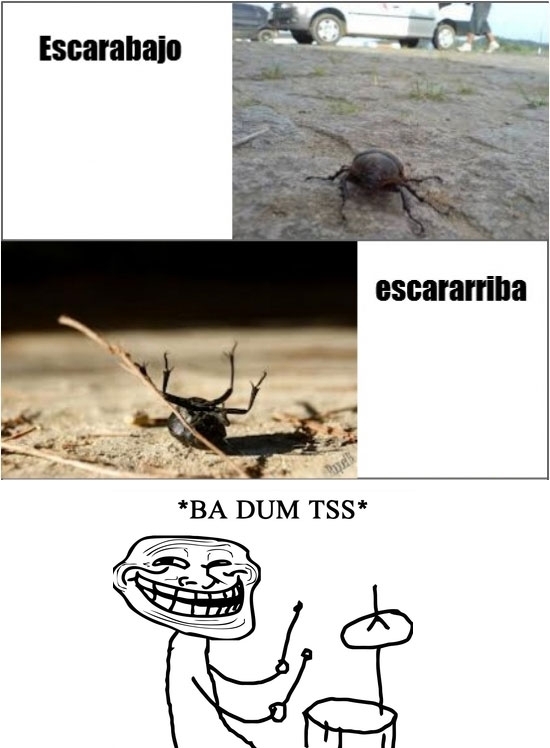 ba dum tss,escarabajo,escararriba,meme,trollface