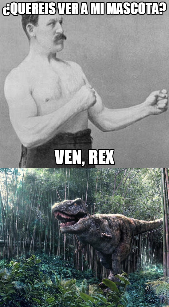 Dinosaurio,Duro,Mascota,Rex