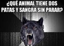 Enlace a Puede que perros y gatos no se lleven muy bien, pero aquí te has pasado