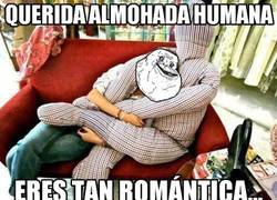 Enlace a Querida almohada humana