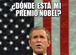Enlace a ¡Bush también quiere su premio!