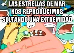 Enlace a La reproducción de las estrellas de mar