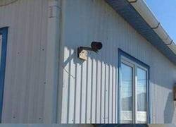 Enlace a Seguro que estas cámaras lo captan todo... ¡seguro!