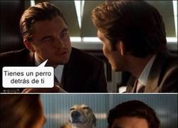 Enlace a Hay un perro detrás de ti