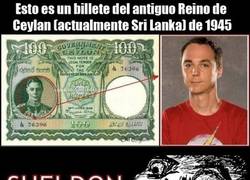 Enlace a ¿Sheldon en un billete?