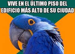 Enlace a Echa las cortinas