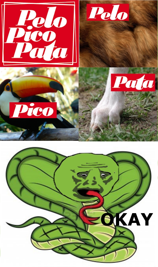 Okay - Discriminación en Pelo Pico Pata