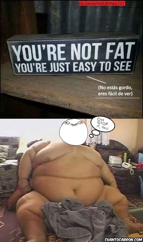Otros - No estás gordo, eres...