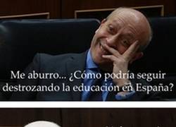 Enlace a Wert y las becas Erasmus