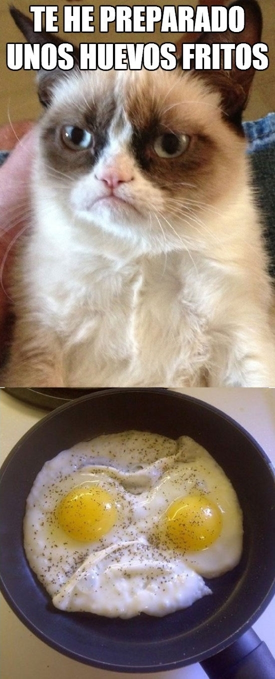 Grumpy_cat - Ni su comida puede estar contenta