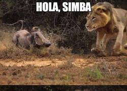 Enlace a Timón, no pienses que todos los leones van a ser Simba...