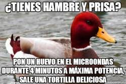 Enlace a Solución contra el hambre cuando hay prisa