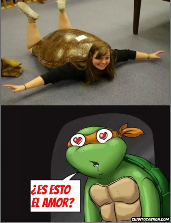 Otros - Amor de tortuga ninja