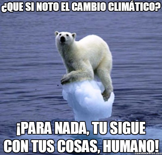 cambio,climatico,humano,iceberg,nieve,noto,oso,para nada,polar,sigue,tus cosas