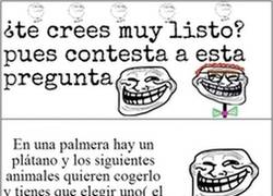 Enlace a Otra enigma de Trollface