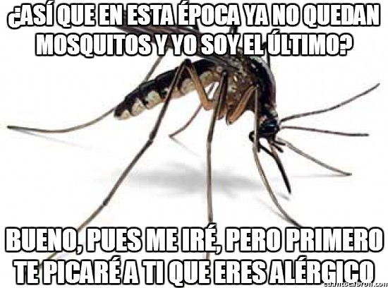 Meme_otros - El último mosquito