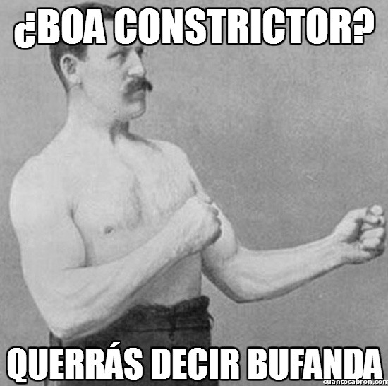 boa constrictor,bufanda,overly manly man