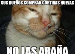 Enlace a Good Cat Greg